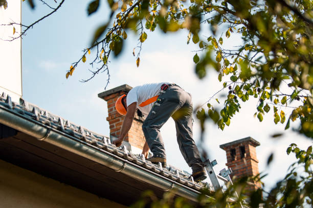 Gutter Installation and Roofing in Fair Oaks Ranch, TX